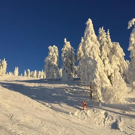 Appartementhaus Grocke